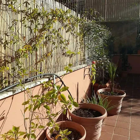 La Terrazza * 罗马